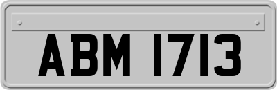 ABM1713