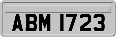 ABM1723