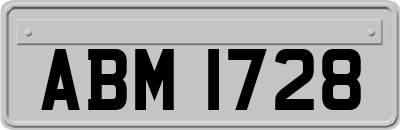 ABM1728