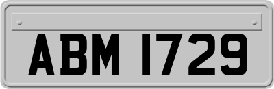 ABM1729