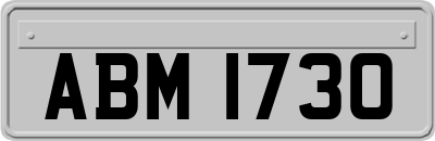 ABM1730