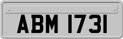 ABM1731