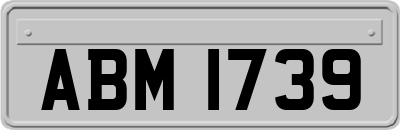 ABM1739