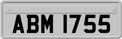 ABM1755