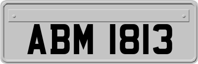 ABM1813