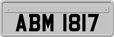 ABM1817