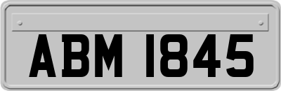 ABM1845