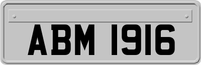 ABM1916