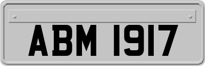 ABM1917