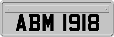 ABM1918