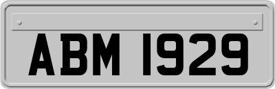 ABM1929