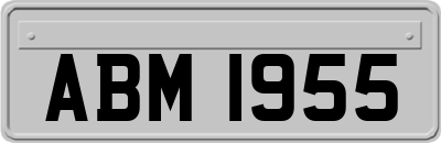 ABM1955