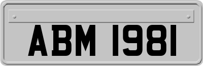 ABM1981