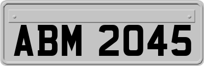 ABM2045