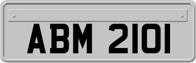 ABM2101