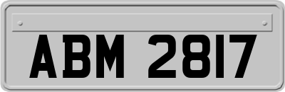 ABM2817