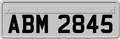ABM2845