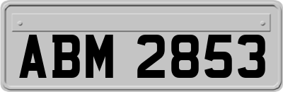 ABM2853