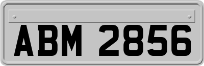 ABM2856