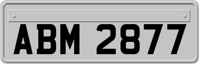 ABM2877