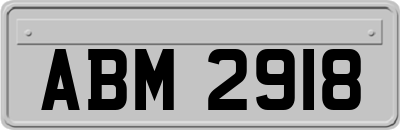 ABM2918