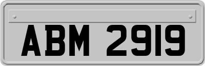 ABM2919