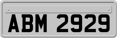 ABM2929