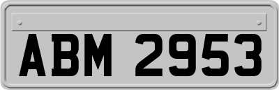ABM2953