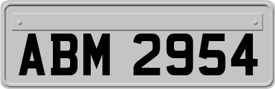ABM2954