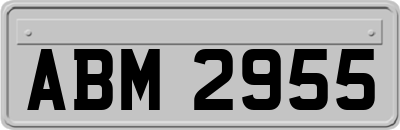 ABM2955