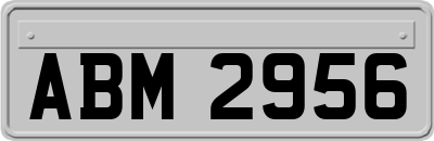 ABM2956