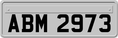 ABM2973