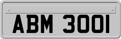 ABM3001