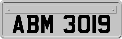 ABM3019