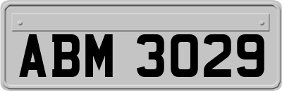 ABM3029