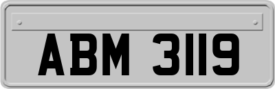 ABM3119