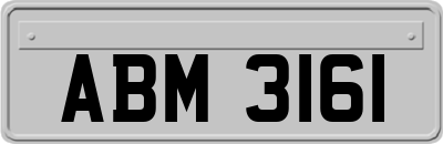 ABM3161