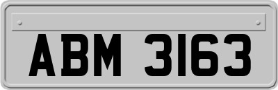 ABM3163