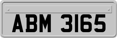 ABM3165