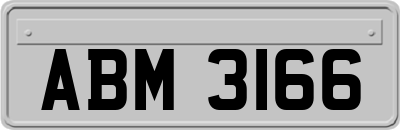 ABM3166