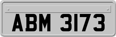 ABM3173
