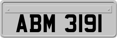 ABM3191