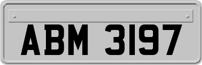 ABM3197