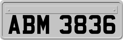 ABM3836