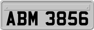 ABM3856