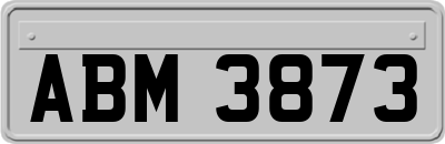 ABM3873