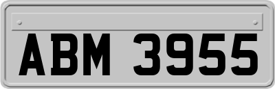 ABM3955