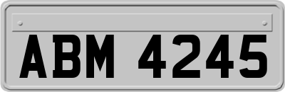 ABM4245