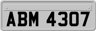 ABM4307