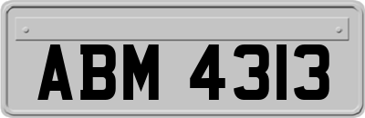 ABM4313
